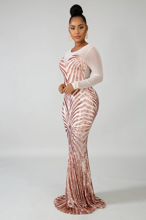 Sequin Sheer Dazzle Mermaid Dress