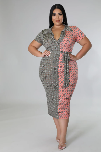 Aleena Dress