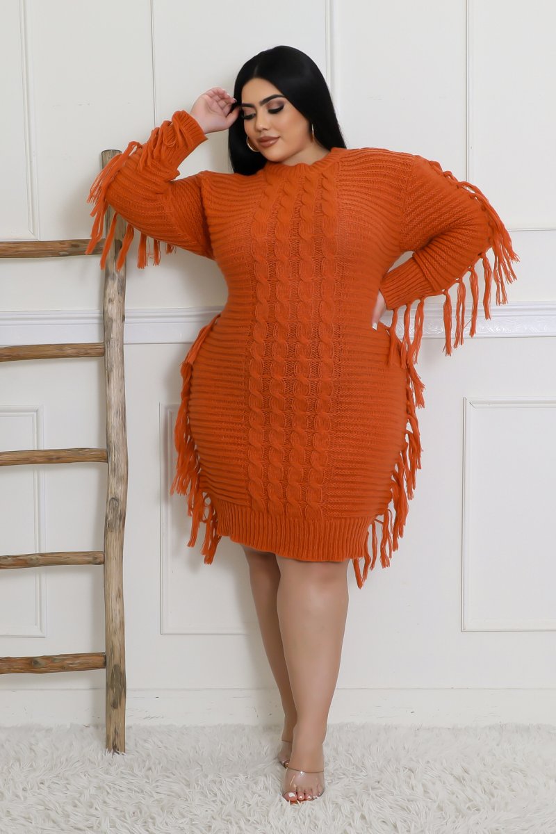 Coziest Feeling Dress