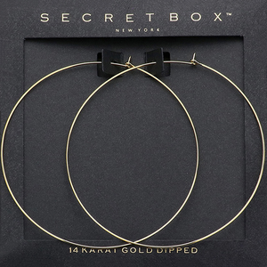 Secret Box_14K Gold Dipped Metal Hoop Earrings