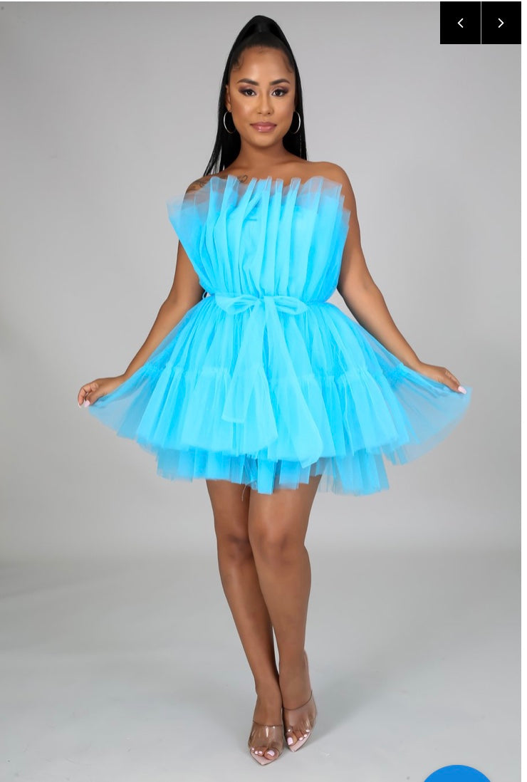 Tulle Tube Dress